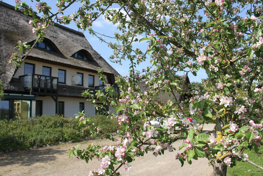 Kur-& Landhotel Borstel - Treff Dabel Exterior foto